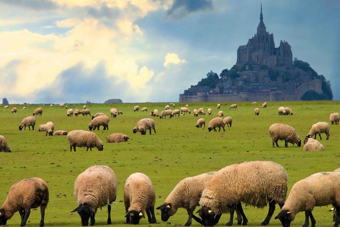 Mont Saint-Michel Day Trip from Paris with Abbey Ticket - Why Mont Saint-Michel makes sense as a Paris day trip