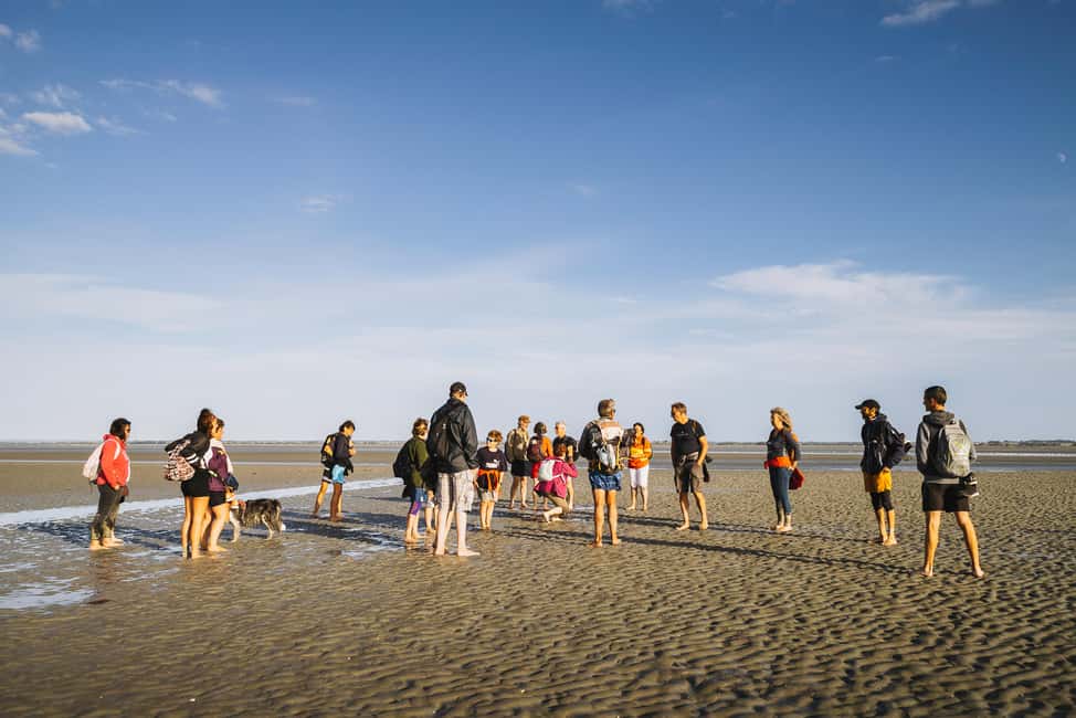 Mont-saint-Michel : Walk in the heart of the Bay - Key things you’ll remember from the Mont Saint-Michel Bay walk