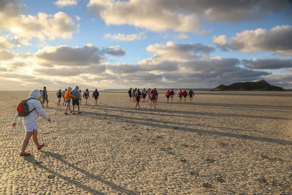 Mont-saint-Michel : Walk in the heart of the Bay - Entering the Bay: where the walk starts and what you’re actually signing up for
