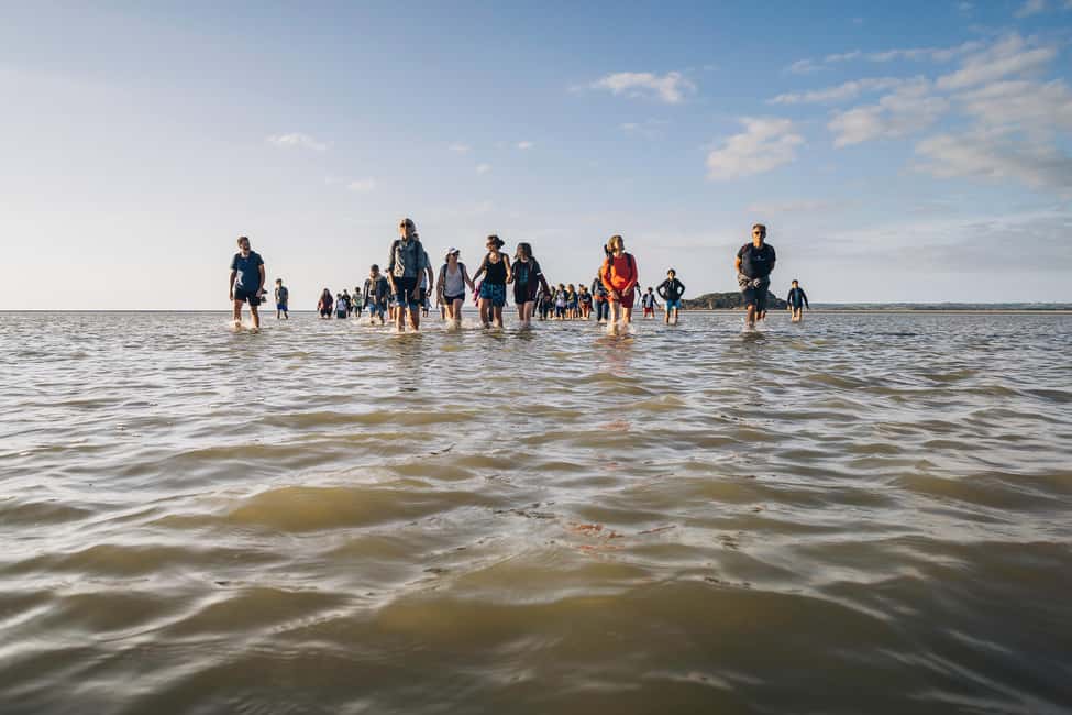 Mont-saint-Michel : Walk in the heart of the Bay - Quicksand basics: what you learn changes how safe the walk feels