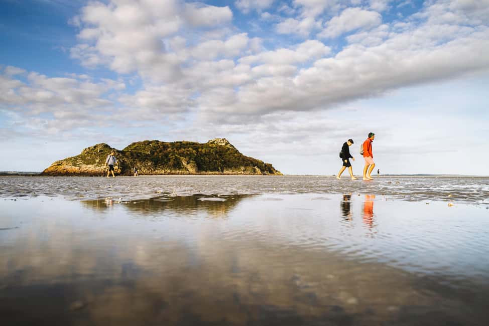 Mont-saint-Michel : Walk in the heart of the Bay - The guide’s job: turning scenery into natural, cultural, and historical context