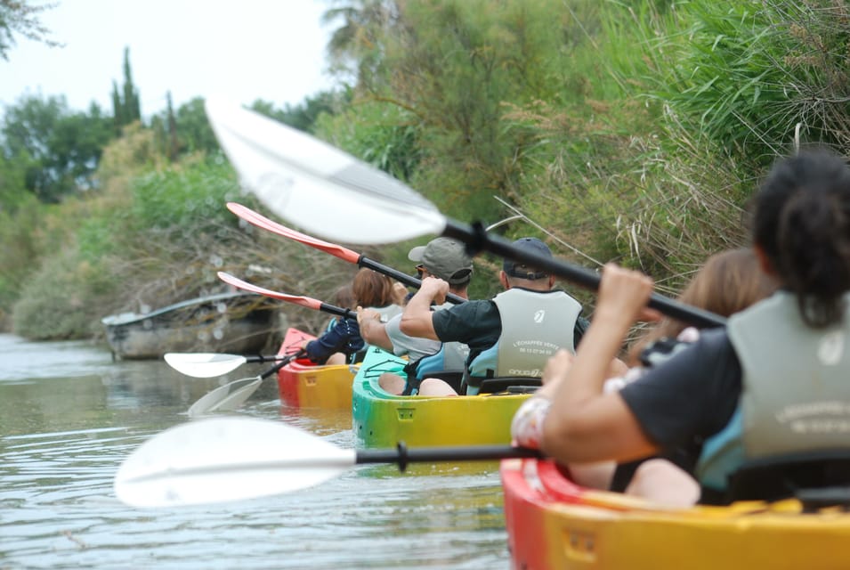 Montpellier : Birdwatching by kayak in the Camargue - Key Things I’d Prioritize on This Camargue Kayak Trip