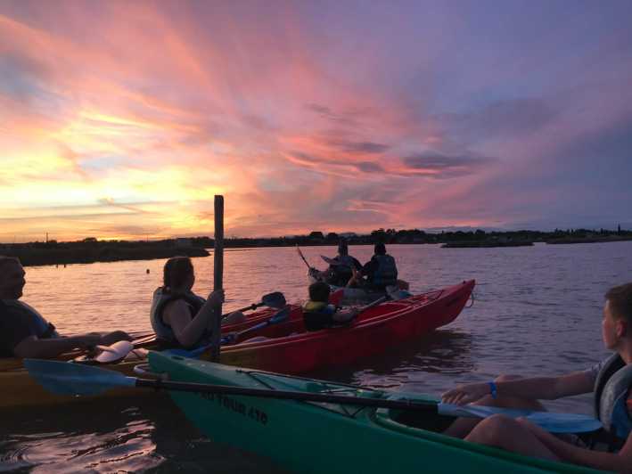 Montpellier : Birdwatching by kayak in the Camargue - Your Kayak Gear and the Comfort Setup That Makes Shallow-Water Birding Work