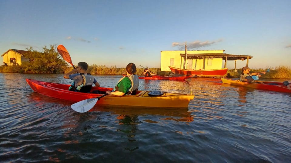 Montpellier : Birdwatching by kayak in the Camargue - Birds You Can Actually Expect to See (And How the Guide Helps)