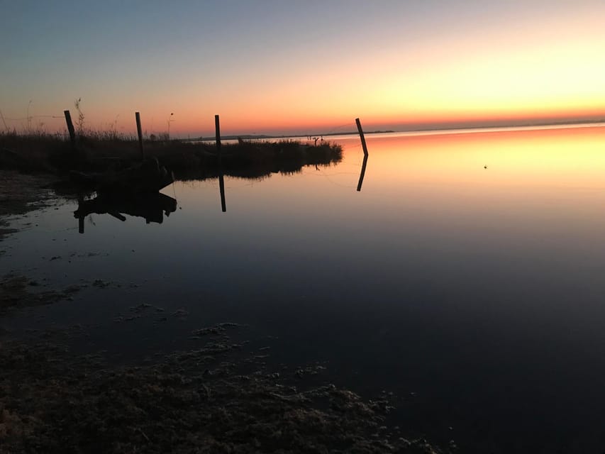 Montpellier : Birdwatching by kayak in the Camargue - The Guide’s Biodiversity Lessons and Local Fishing Techniques