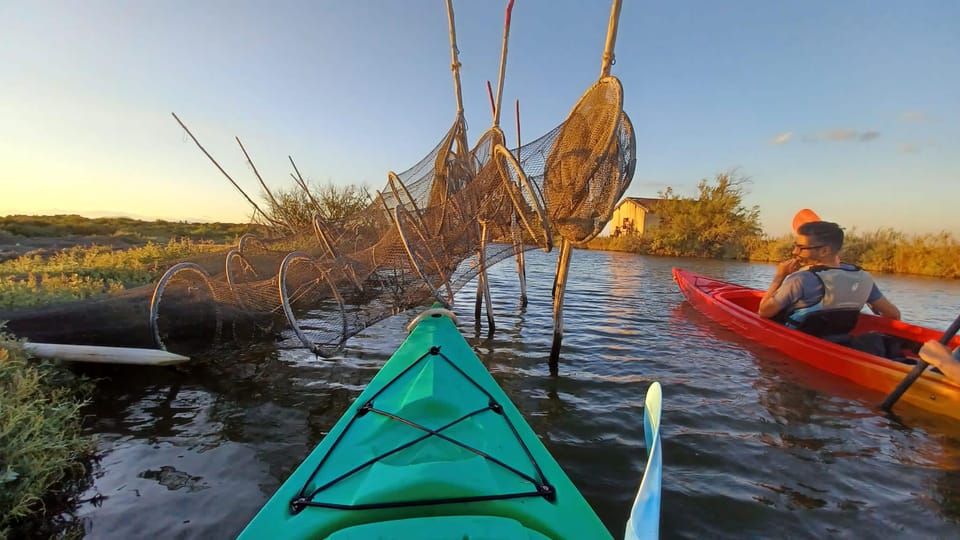 Montpellier : Birdwatching by kayak in the Camargue - Sunset on the Lagoon: Why Timing Changes Everything