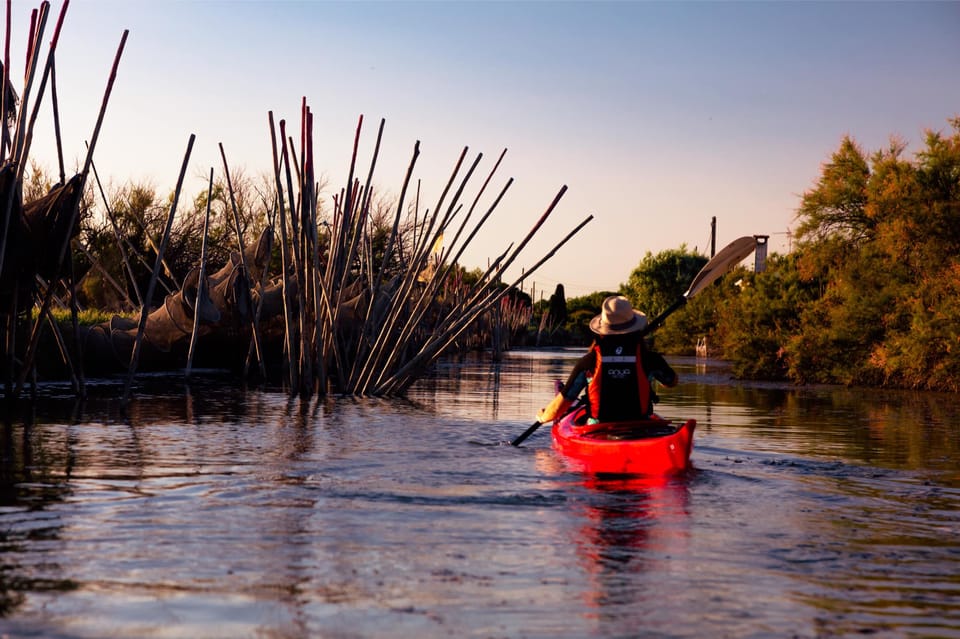 Montpellier : Birdwatching by kayak in the Camargue - Small Group Size: Better Attention, But Not Always Perfect