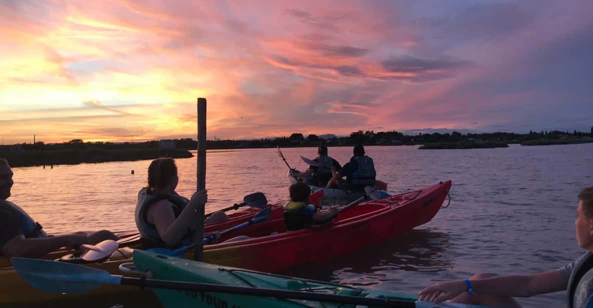 Montpellier : Birdwatching by kayak in the Camargue - Meeting at Echappée Verte: Easy Start, Simple Rules