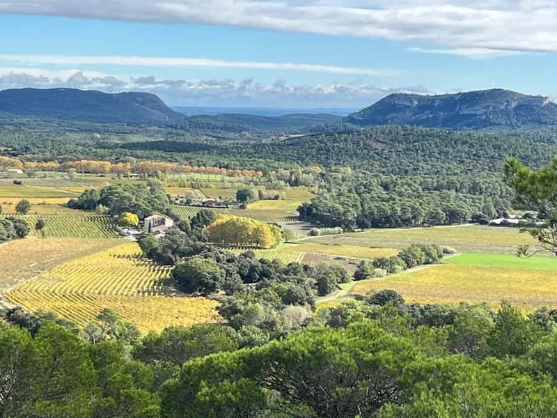 Montpellier: Pic Saint-Loup Wine Tour - Should you book it? My honest take on the call