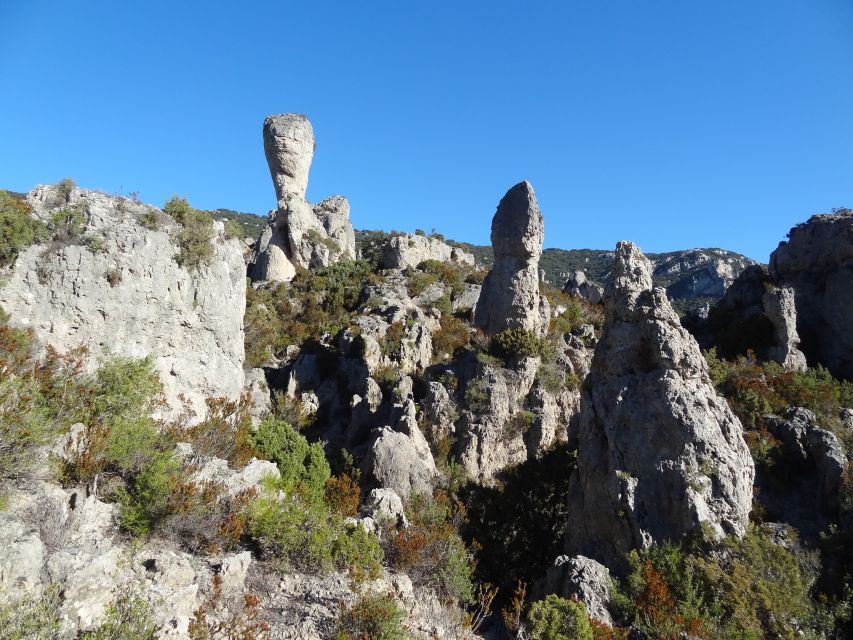 Montpellier: St. Guilhem le Désert and Moureze Day-Trip - Meeting the Day: Mosson Tram Stop and a Black Van