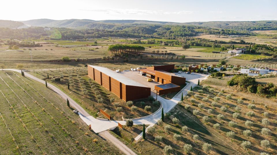 Montpellier : Visit lavender field and an Olive Oil Mill - Who should book this experience