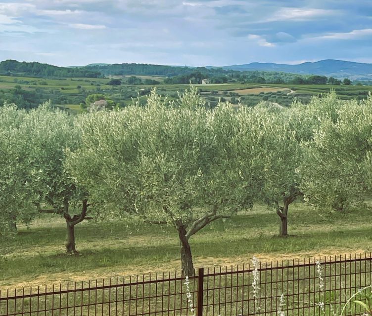 Montpellier : Visit lavender field and an Olive Oil Mill - Leaving Montpellier in a seven-person van