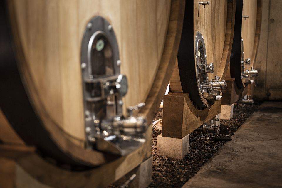 Montpellier Wine and Oyster Tour - Key Points You’ll Care About