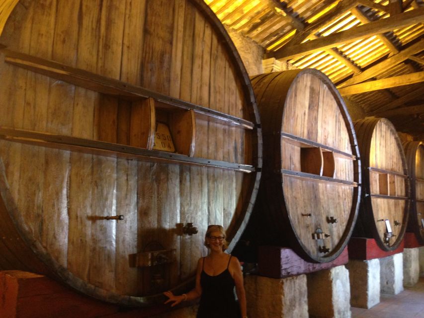 Montpellier Wine and Oyster Tour - Meeting at Esplanade de l’Europe: how the tour starts smoothly