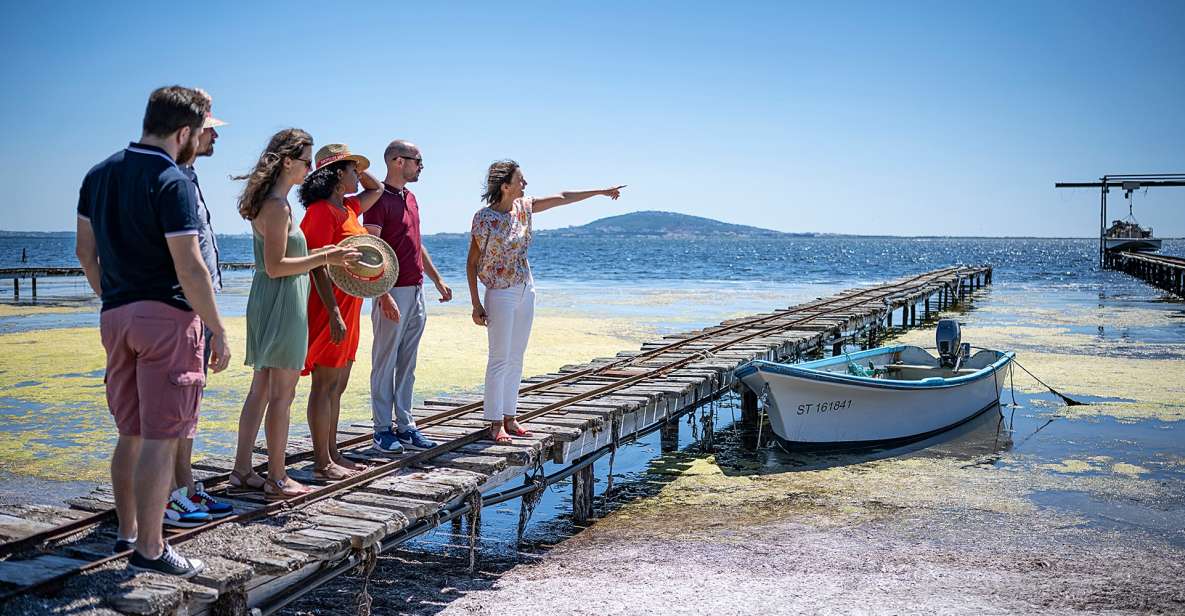 Montpellier Wine and Oyster Tour - Wine tasting tip: how to make your palate work for you