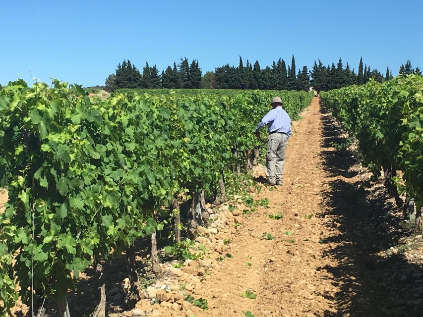 Montpellier Wine and Oyster Tour - The winery stop: Renaissance-style castle, 11th-century chapel, and real cellars