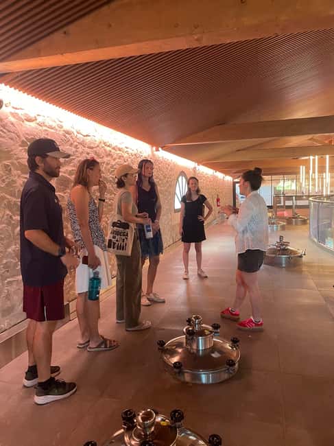 Montpellier : Wine Tour Pic St Loup - Key points at a glance