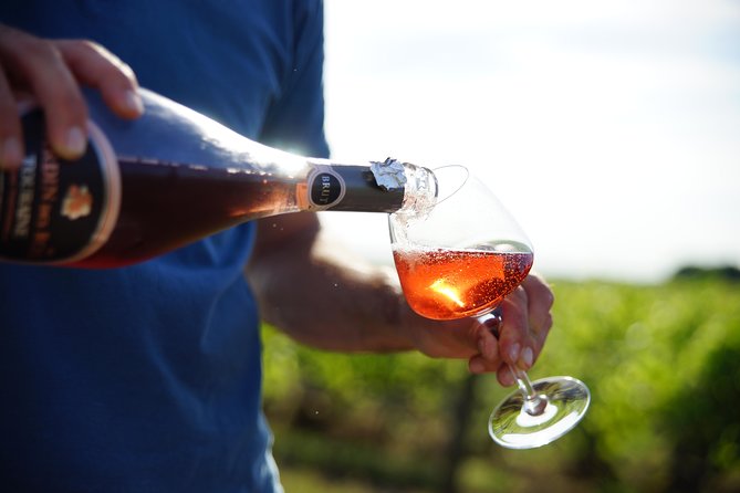 Morning - Loire Valley Wine Tour & Food Pairing, Vouvray - Key highlights