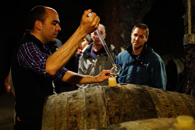 Morning - Loire Valley Wine Tour & Food Pairing, Vouvray - Stop 1 at Domaine Le Capitaine: Vineyards, Underground Cellars, and Sparkling to Still Whites