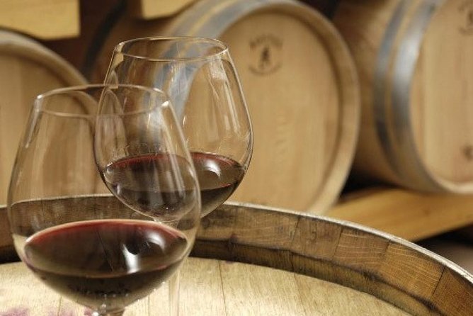 Morning Wine Tour to Chateauneuf du Pape from Avignon - What You See Beyond the Tasting Rooms