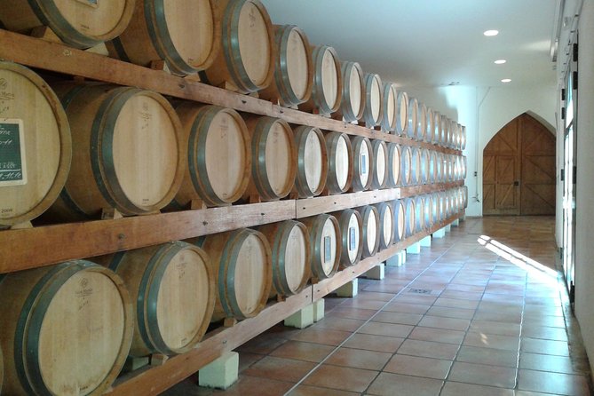 Morning Wine Tour to Chateauneuf du Pape from Avignon - Transport, Timing, and Why No Driver Is a Big Deal