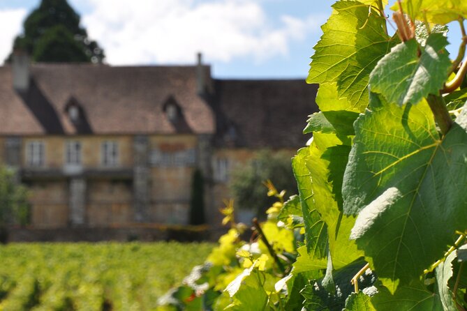 Multi Day Private Tour Prestige Burgundy with 12 Premiers & Grands Crus - Day two among Corton-Charlemagne and Montrachet