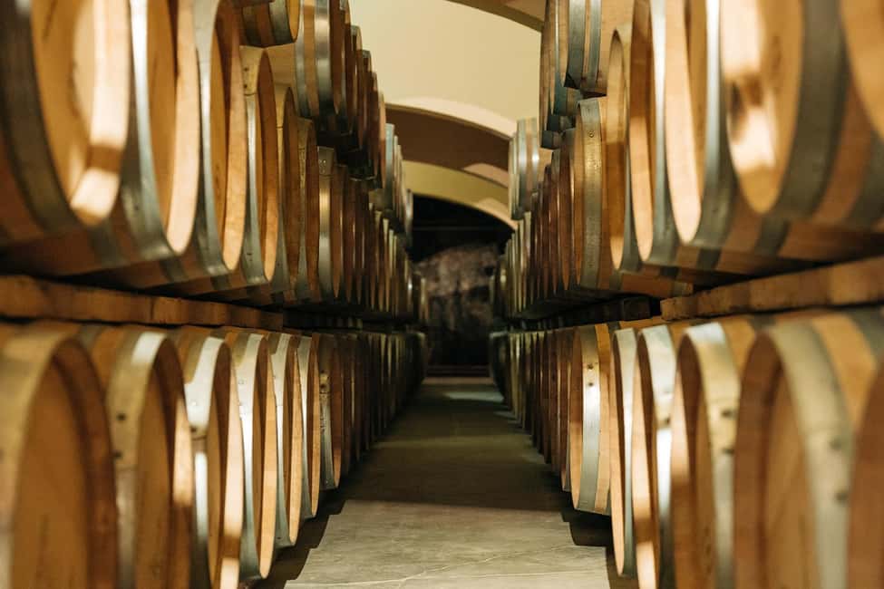 Narbonne : Guided Tour of the Château l'Hospitalet & Tasting - Learning Wine Tasting Like a Skill (Not a Mystery)