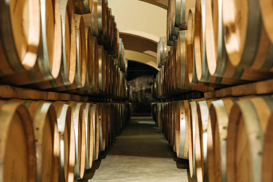 Narbonne : Guided Tour of the Château l'Hospitalet & Tasting - The Tasting at the Boutique: Four Signature Cuvées