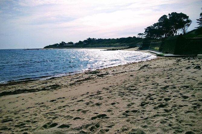 Nature walk to discover Noirmoutier and its charms - Seeing Noirmoutier at a slower pace