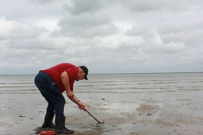 Nature walk to discover Noirmoutier and its charms - What Nicolas adds to the route