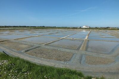 Nature walk to discover Noirmoutier and its charms - The island route and its quieter corners