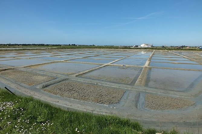 Nature walk to discover Noirmoutier and its charms - The island route and its quieter corners