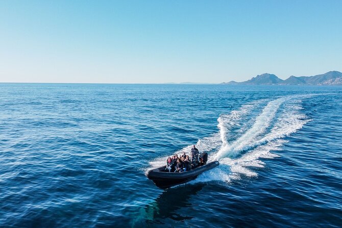 Nautical excursion - Cannes-St Tropez - What the $173.52 price really buys you