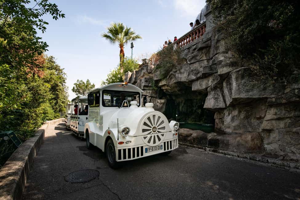 Nice: A gentle ride on a small electric train with panoramic views - Key things to know before you board