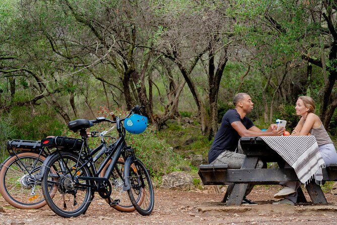 Nice Electric Bike Rental - Pedego Power: Five Speeds and a 60 km Planning Number