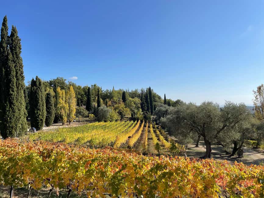 Nice: Full-Day Côtes de Provence Wine Tour - Stop one: guided winery tour plus tastings that make sense