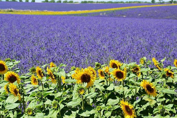 Nice: Gorges of Verdon and Fields of Lavender Tour - The Gorge of the Wolf Waterfall Stop: Short, Spectacular, and Photo-First