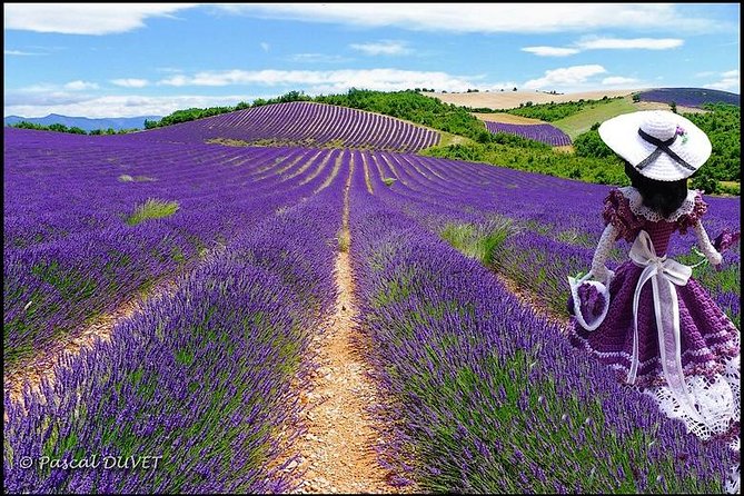 Nice: Gorges of Verdon and Fields of Lavender Tour - Nice Pickup and the Drive South: Settling In for a Long Day