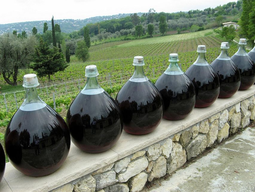 Nice: Half-Day Saint Paul de Vence and Wine Tasting Tour - Key things I’d plan for