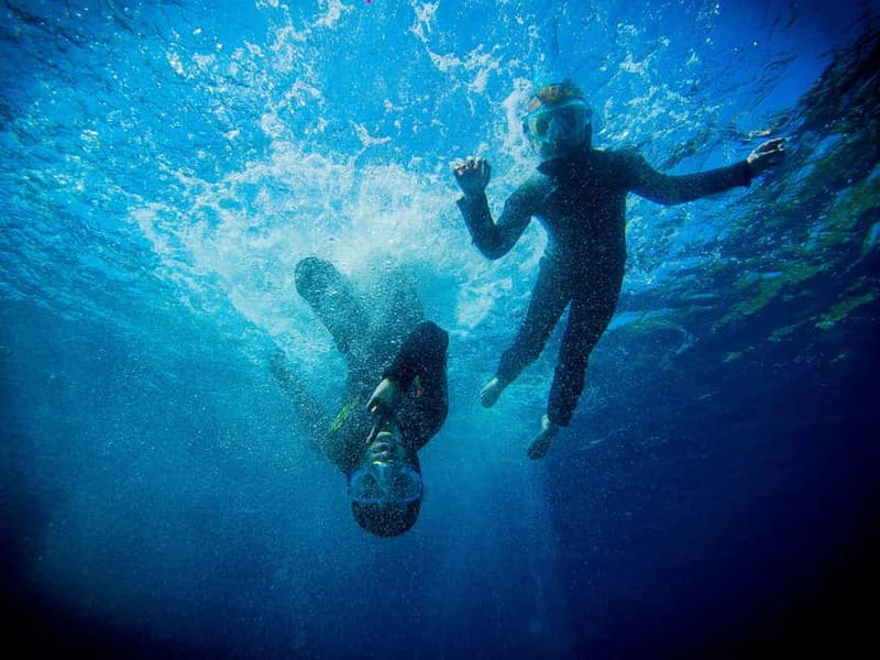 Nice: Snorkeling Speedboat Tour in Villefranche Bay - Why This 90-Minute Speedboat Snorkeling Fits Nice