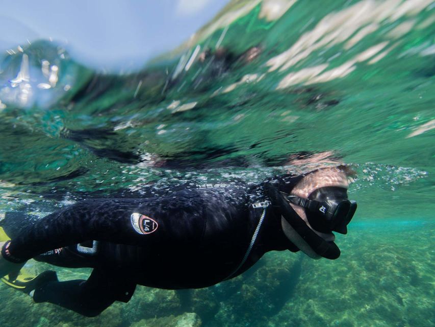 Nice: Snorkeling Speedboat Tour in Villefranche Bay - Tips to Get More Fun From Your Snorkeling Hour