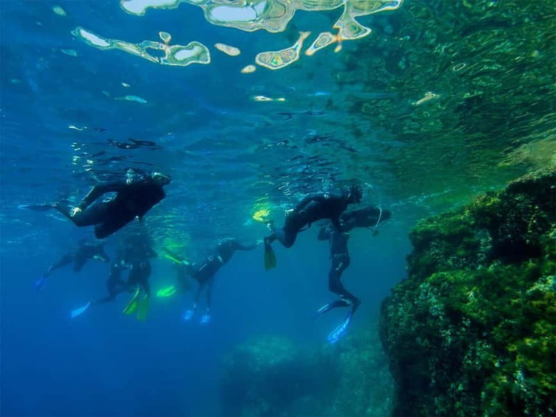 Nice: Snorkeling Speedboat Tour in Villefranche Bay - Villefranche-sur-Mer Water Time: How the Hour Actually Feels
