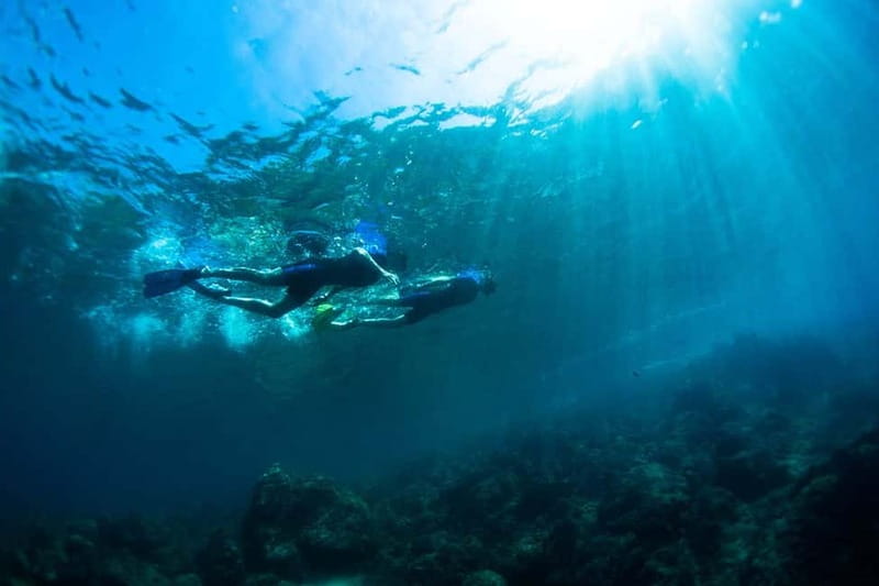 Nice: Snorkeling Speedboat Tour in Villefranche Bay - Jellyfish, Changing Conditions, and Why the Guide’s Decisions Matter