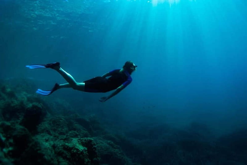 Nice: Snorkeling Speedboat Tour in Villefranche Bay - Value Check: Is $70 Worth It?