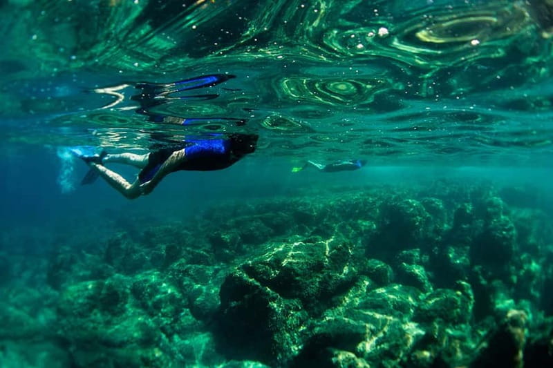 Nice: Snorkeling Speedboat Tour in Villefranche Bay - The Short Boat Cruse: Cape Views While You Gear Up