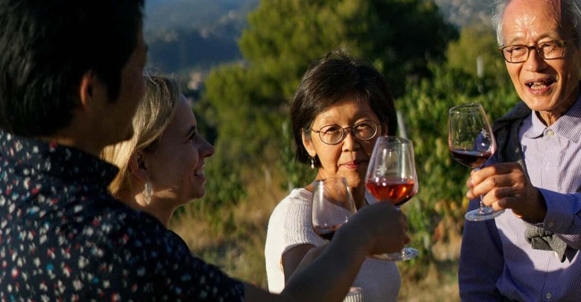 Nice: Vineyard Tour with Wine Tasting - Key Things You’ll Notice on This Bellet Vineyard Tour