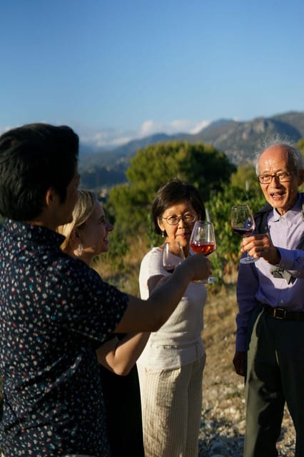 Nice: Vineyard Tour with Wine Tasting - The Vineyard Tour with a Local Expert: What You’re Actually Learning