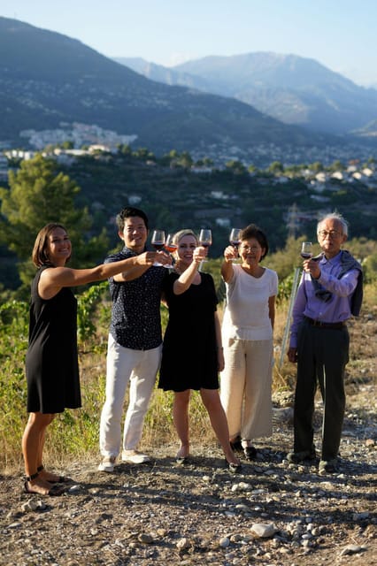 Nice: Vineyard Tour with Wine Tasting - Wine Tasting with the Sommelier: How to Taste the Right Way