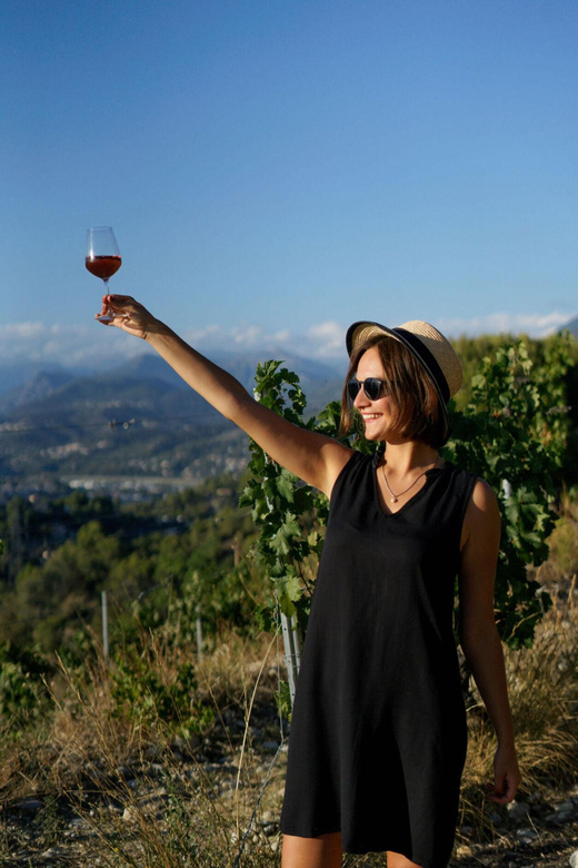 Nice: Vineyard Tour with Wine Tasting - Getting There from Nice: Transfer Option vs. DIY