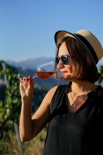 Nice: Vineyard Tour with Wine Tasting - Price and Value: Why $38 Feels Fair Here